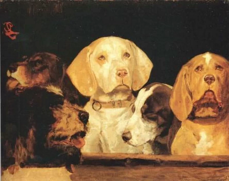 Teste di cani